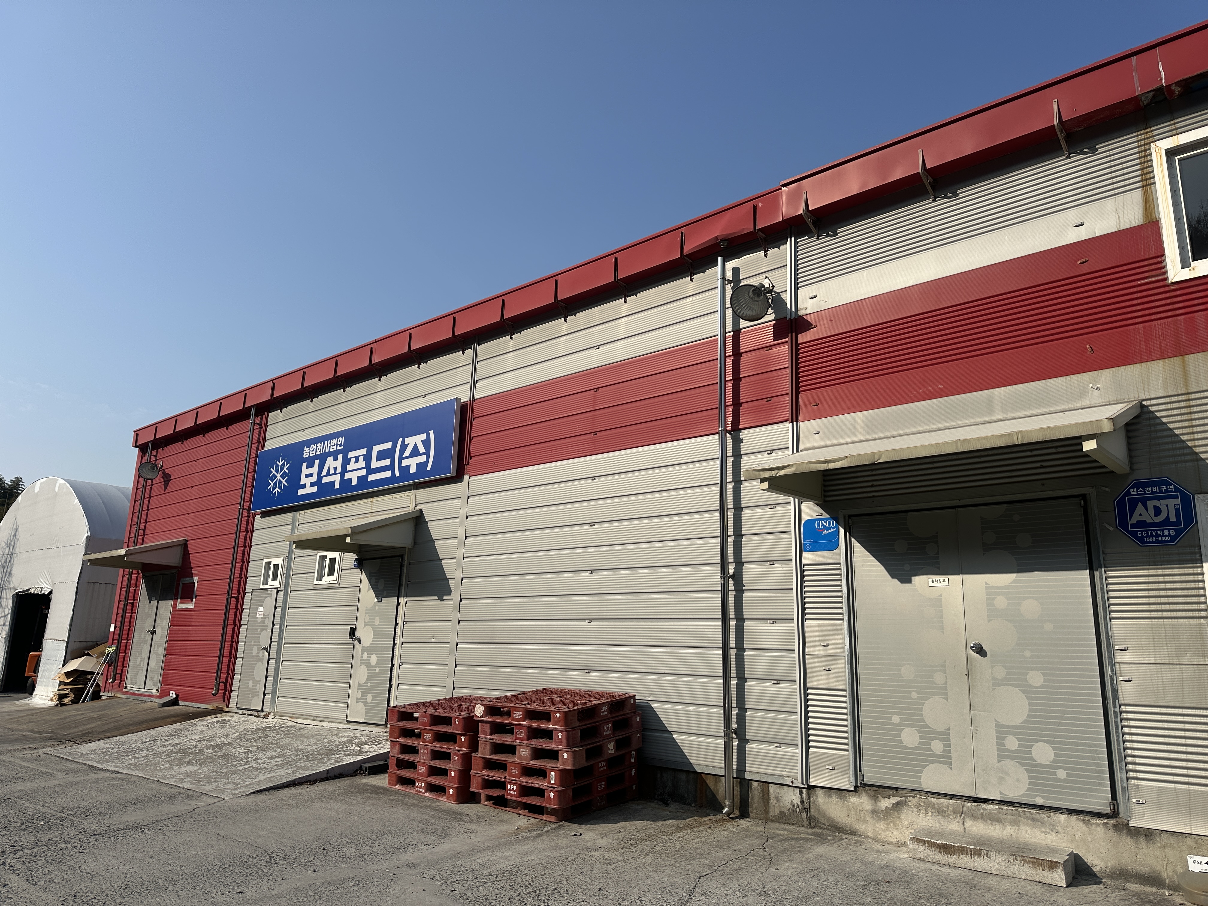 Korean Freeze-Dried Snacks for Global Retail