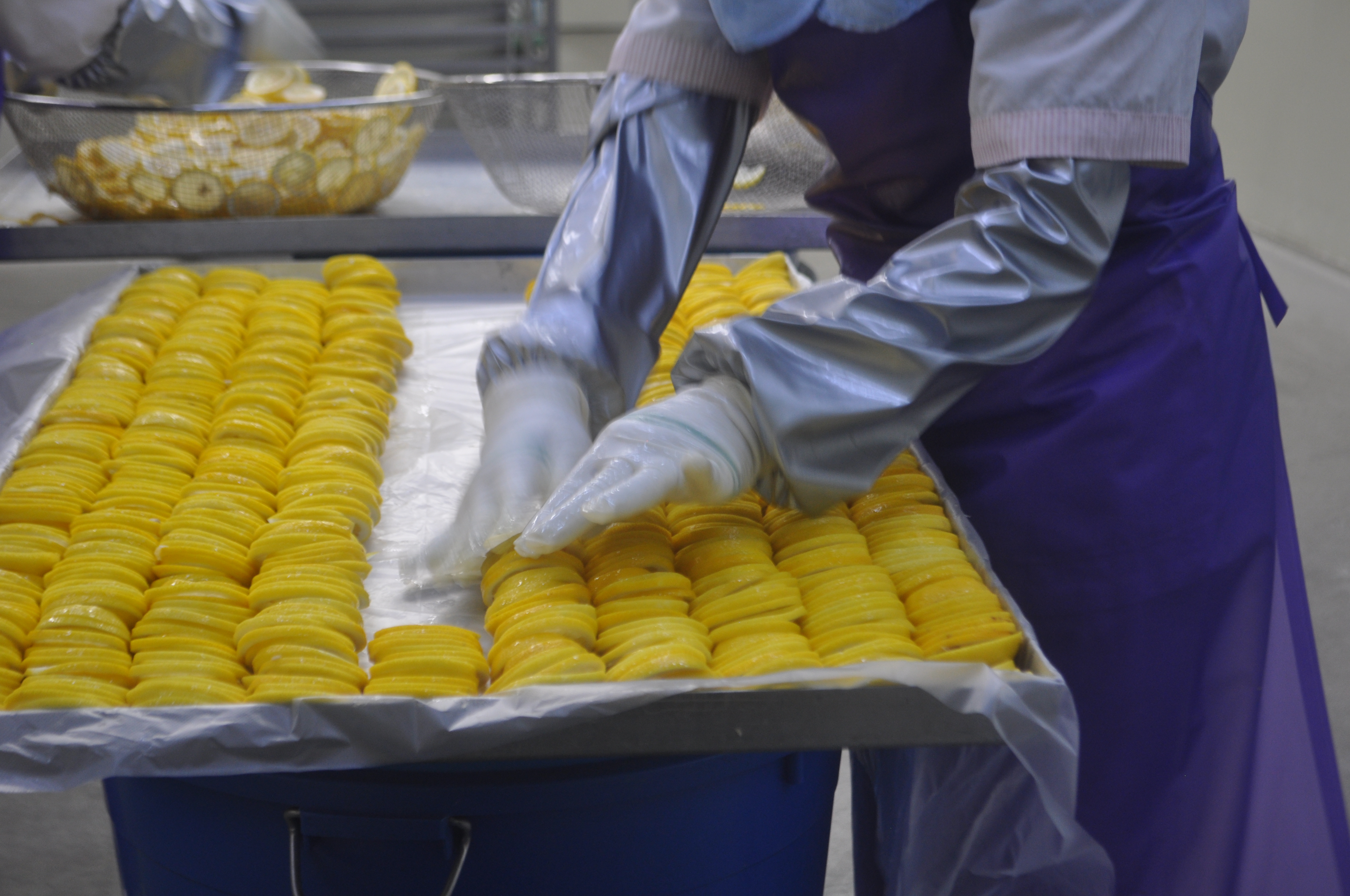 Fruit Processing Step for Freeze-Drying Fruit by MIKOMOKO