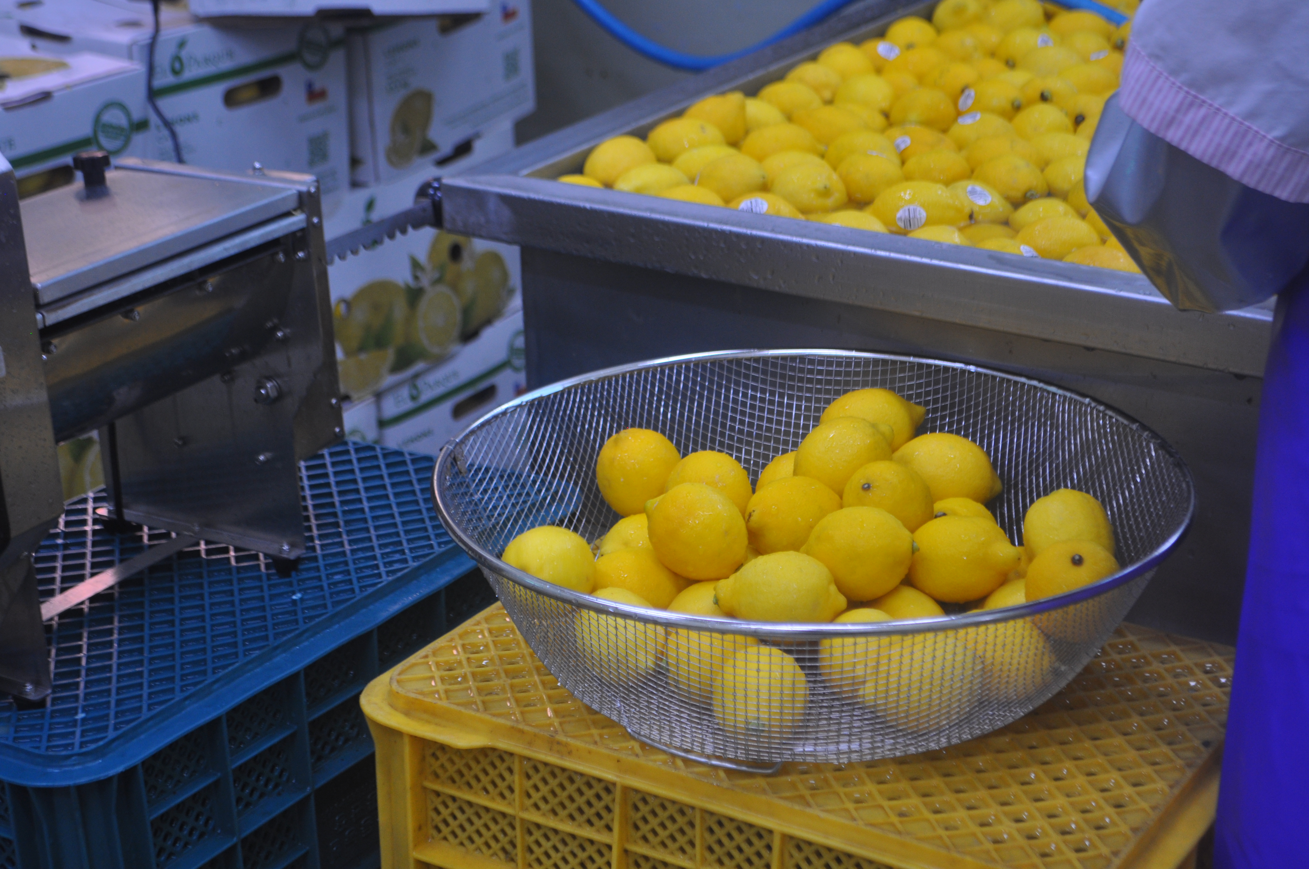 How MIKOMOKO Checks Fruit Color and Condition