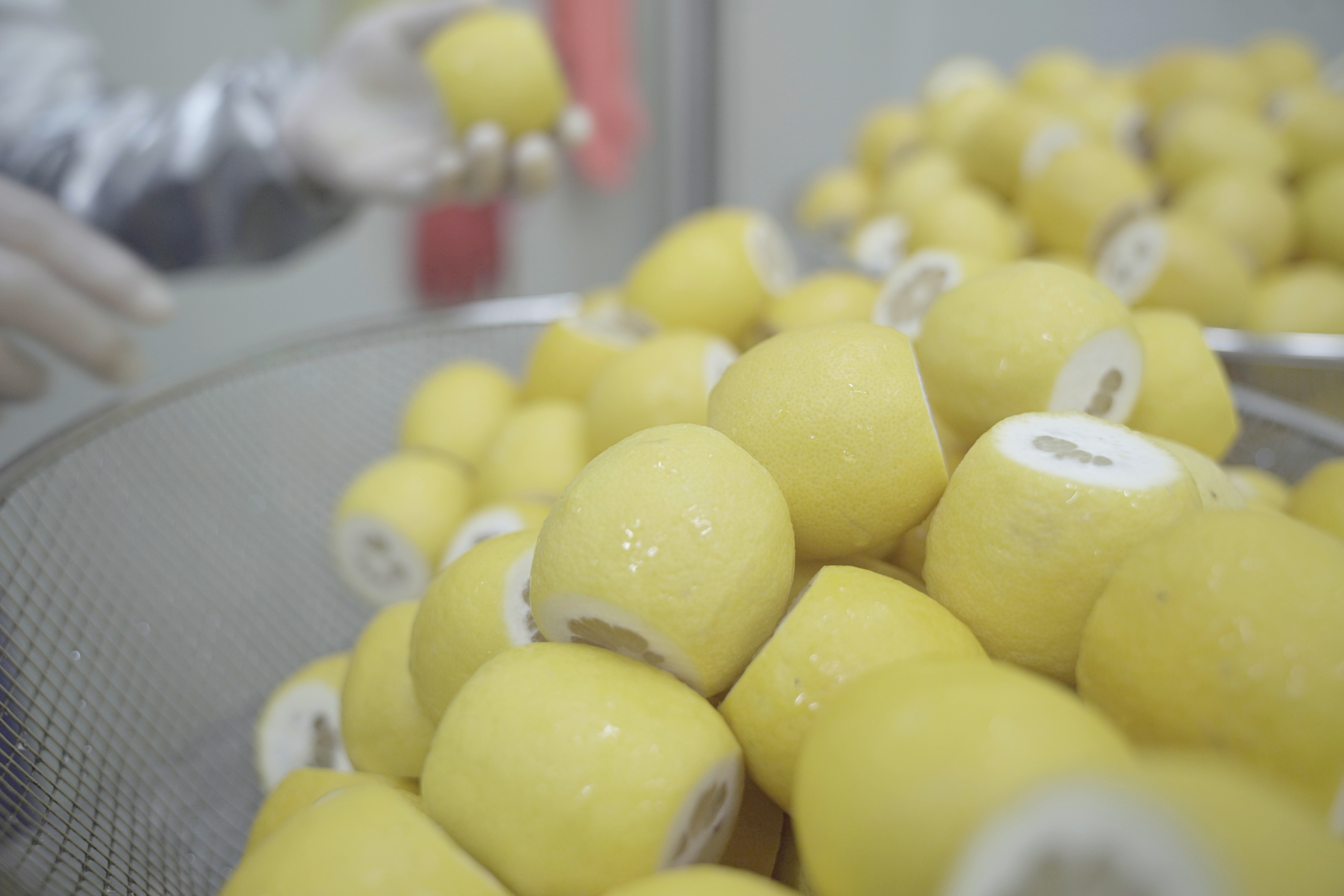 Fruit Wash: How Vosuck Food Manages Fruit Before Processing